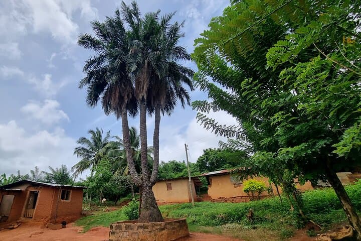 Aburi Botanical Gardens, Boti Falls & Cocoa Farm Day Tour from Accra photo 3