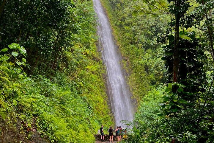 Customizable Private Oahu Tour from Ko Olina — Diamond Head, North Shore & Waterfalls photo 6