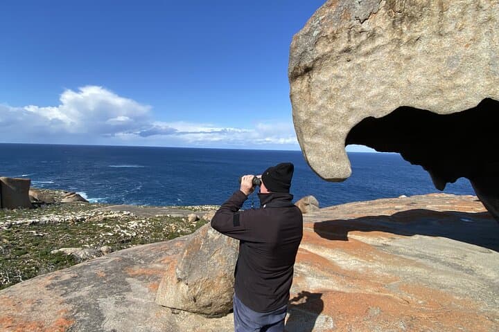 Private Luxury Flinders Chase Tour: Remarkable Rocks, Admirals Arch and Fur Seals photo 6