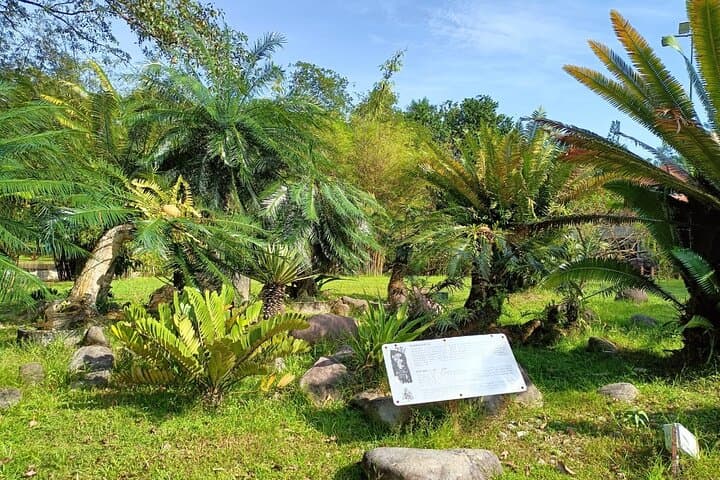 Kuala Lumpur Natural Heritage Walking Tour: Botanical Gardens, Orchid Garden & Taman Tugu photo 3