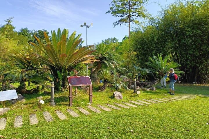 Kuala Lumpur Natural Heritage Walking Tour: Botanical Gardens, Orchid Garden & Taman Tugu photo 4