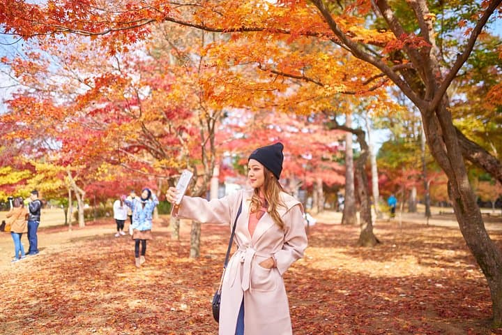 Private Halal Tour: Nami Island, Soyanggang Skywalk & COEX from Seoul photo 2