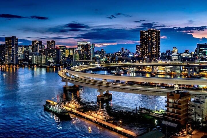 Tokyo Twilight Expedition Car Tour: Night Drive Across Rainbow Bridge, Odaiba & Tokyo Tower photo 5