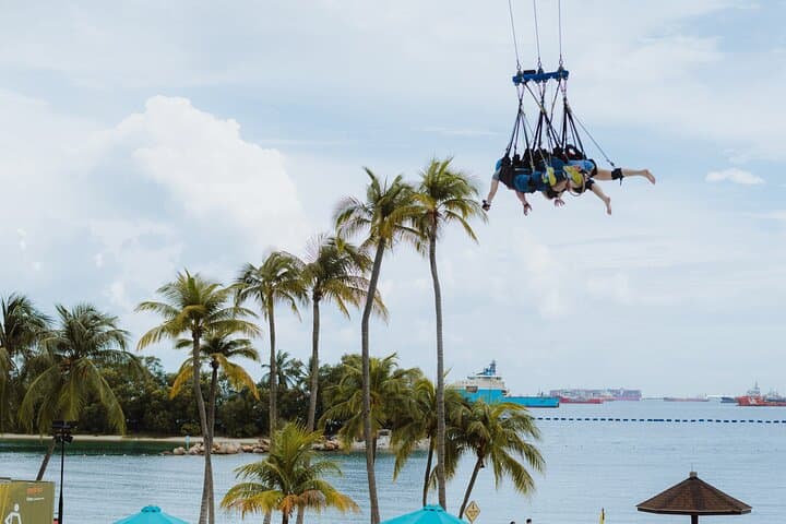 Skypark Sentosa Giant Swing: 40m Coastal Thrill Over Siloso Beach photo 5