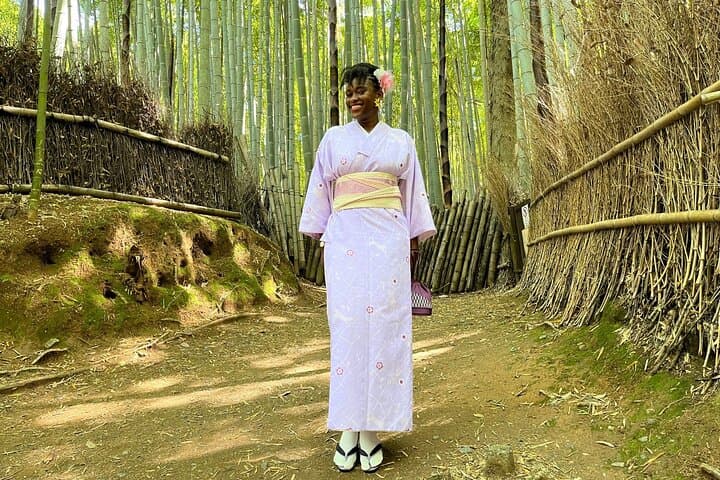 Private Kyoto Day Trip from Osaka: 8-Hour English-Speaking Driver (No Guide) photo 6