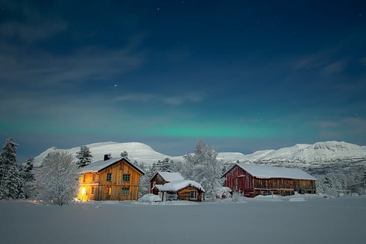 Private Dogsledding and Husky-Lodge Overnight near Tromsø — Arctic Night Adventure photo 6