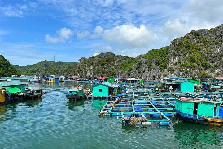 Lan Ha Bay Full-Day Boat Excursion from Cat Ba: Kayaking Caves & Beaches photo 3