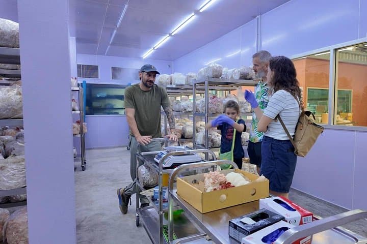 Inside an On Nut Mushroom Farm: Hands-On Cultivation and Harvest Workshop in Bangkok photo 2