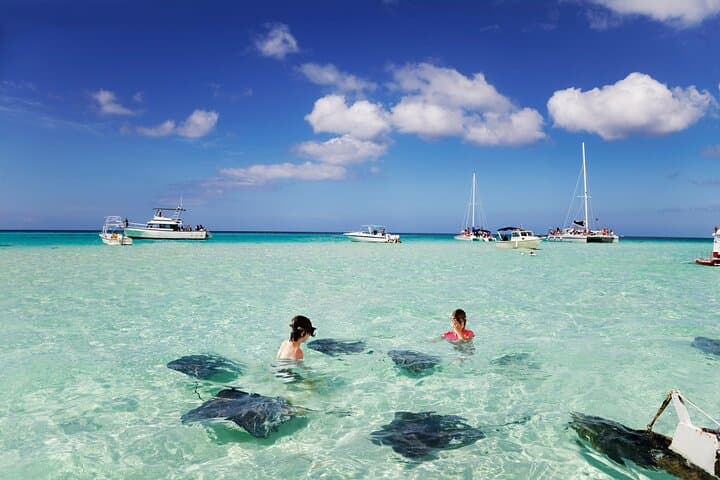Half-Day Private Boat Tour in Grand Cayman — Stingray Sandbar & Starfish Point photo 3