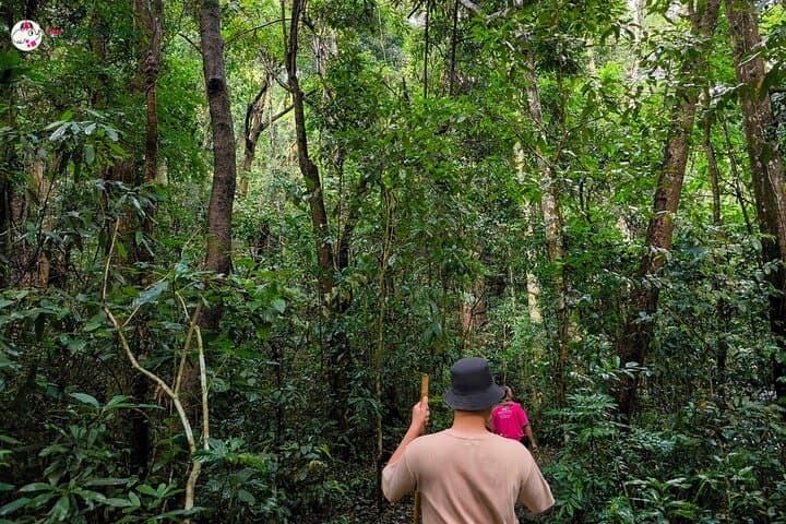 Chiang Mai Day Trip: Doi Inthanon, Joy Elephant Sanctuary & Pha Dok Siew Waterfall photo 3