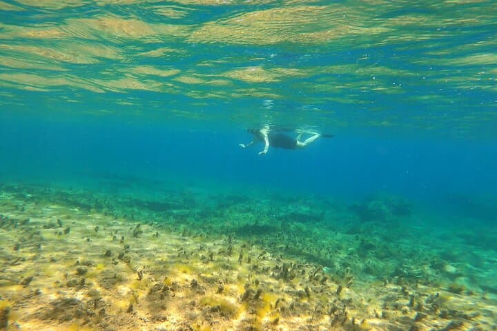 Panormos Beach Private Snorkeling Adventure — Mykonos Guided Tour photo 3