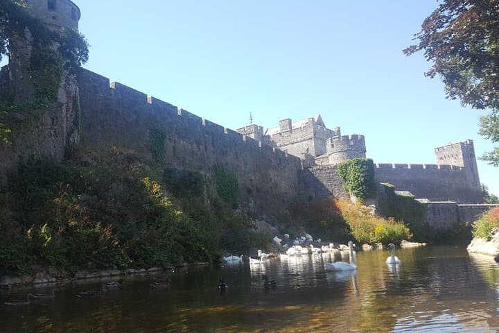 Private Tour: Rock of Cashel and Cahir Castle Day Trip from Cork photo 3