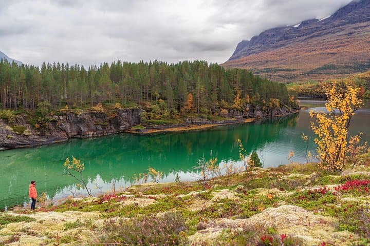 Arctic Fjord Wildlife & Photography Tour from Abisko photo 3