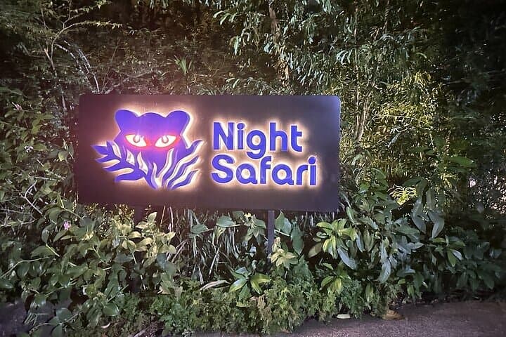 Singapore Night Safari: After-Dark Tram & Walking Trails to See Nocturnal Wildlife
