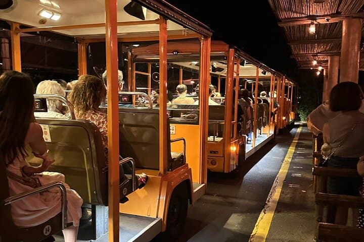 Singapore Night Safari: After-Dark Tram & Walking Trails to See Nocturnal Wildlife photo 3