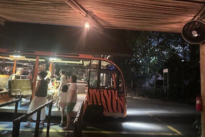 Singapore Night Safari: After-Dark Tram & Walking Trails to See Nocturnal Wildlife photo 4