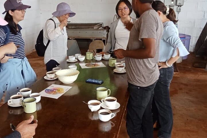 Fairview Kenyan Coffee Farm Tour: Behind the Cup of Kenya photo 2