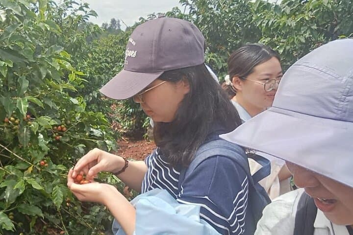Fairview Kenyan Coffee Farm Tour: Behind the Cup of Kenya photo 3