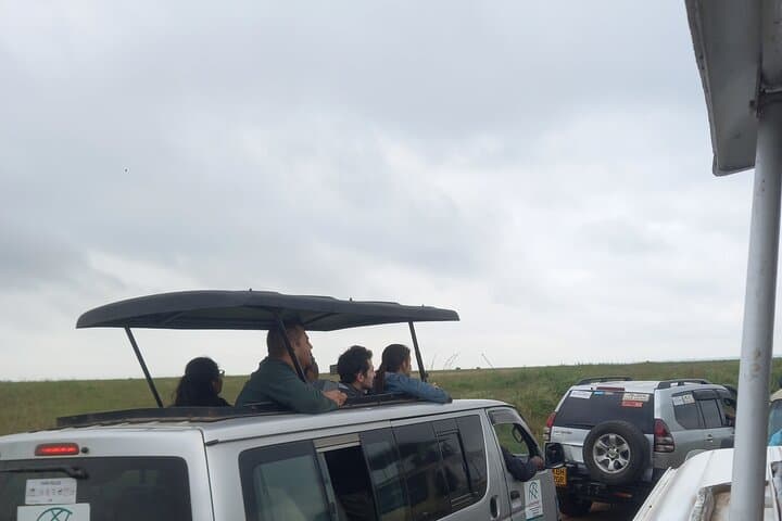 Exploring Nairobi National Park: A Wildlife Safari on the City’s Edge