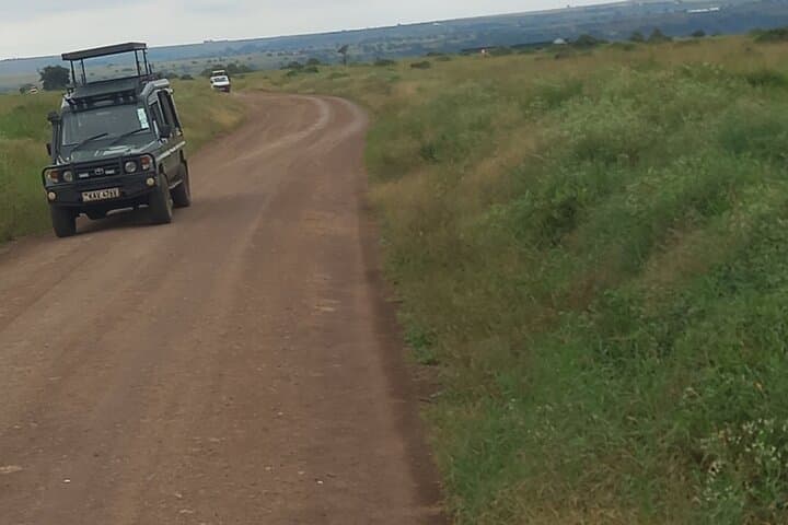 Exploring Nairobi National Park: A Wildlife Safari on the City’s Edge photo 4