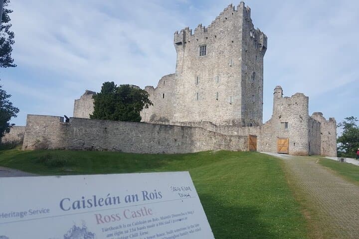 Ring of Kerry Day Tour from Cork: Killarney, Muckross & Molls Gap