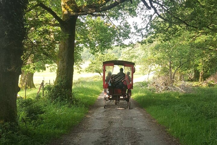 Ring of Kerry Day Tour from Cork: Killarney, Muckross & Molls Gap photo 4