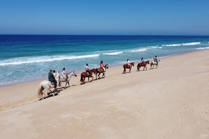Melides Beach Horseback Rides — 2-Hour Coastal Trail near Setúbal photo 6