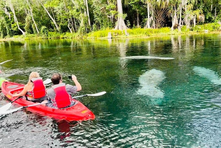 Paddle with Manatees and Monkeys at Silver Springs: A Clear-Kayak Spring Tour photo 2