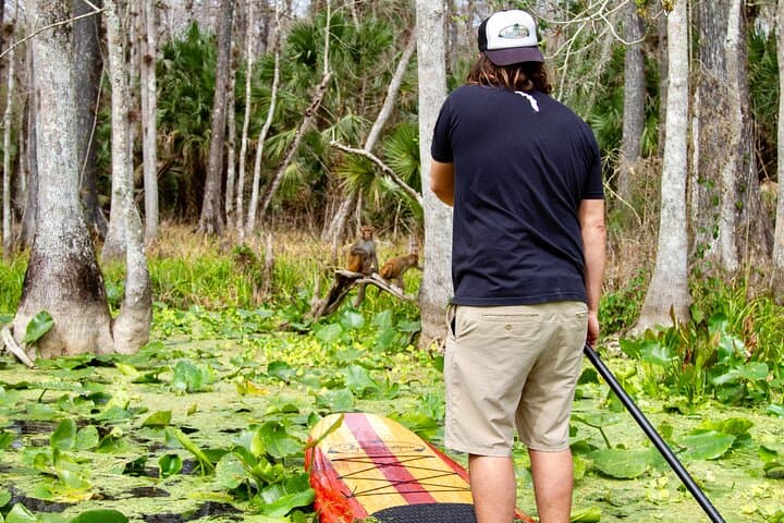 Paddle with Manatees and Monkeys at Silver Springs: A Clear-Kayak Spring Tour photo 4
