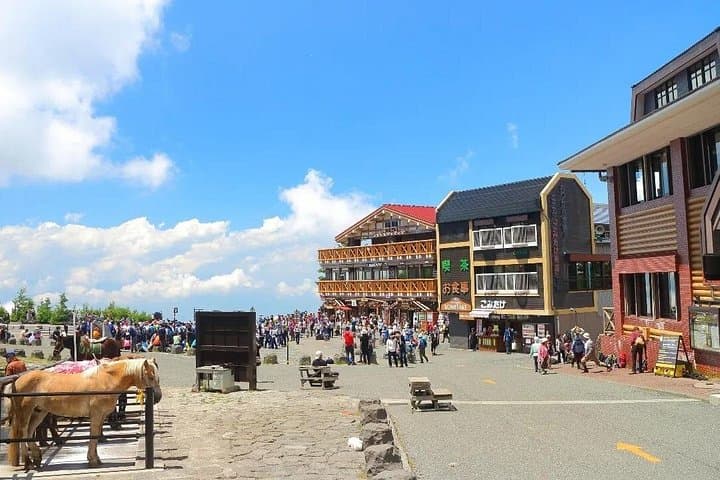 Mt. Fuji 5th Station, Hakone & Gotemba Day Trip from Tokyo — Ropeway, Lake Ashi Cruise photo 2