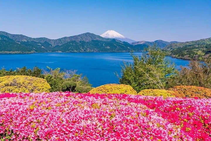 Mt. Fuji 5th Station, Hakone & Gotemba Day Trip from Tokyo — Ropeway, Lake Ashi Cruise photo 4