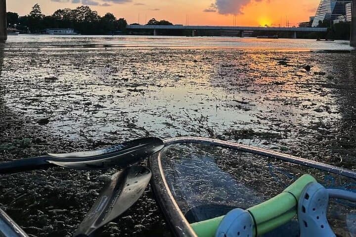 Clear Kayak Tour on Lady Bird Lake: Paddle Beneath Austin's Downtown Skyline photo 3