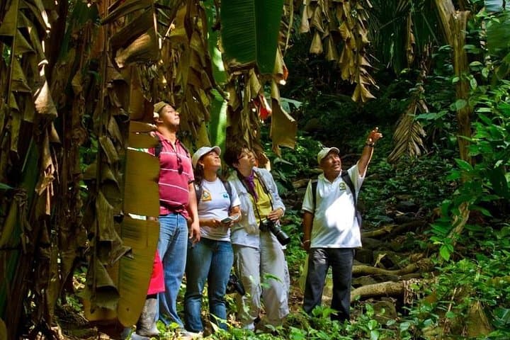 Mombacho Volcano and Canopy: Hike Cloud-Forest Craters and Zipline Over Lake Nicaragua photo 1