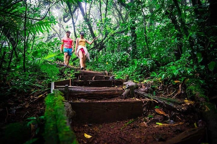 Mombacho Volcano and Canopy: Hike Cloud-Forest Craters and Zipline Over Lake Nicaragua photo 2