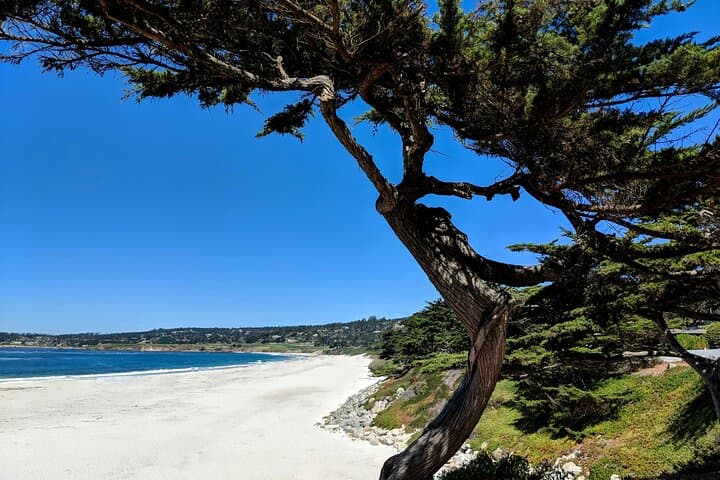 Carmel on Foot: Hidden Courtyards, Artists & Ocean Views Audio Tour photo 2