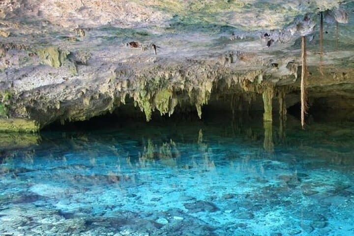 Semiprivate Snorkel with Sea Turtles and a Majestic Tulum Cenote photo 2