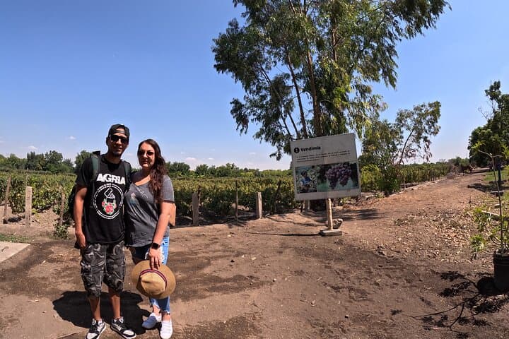 Ballestas Islands, Vineyards & Huacachina Buggies — Full-Day Trip from Ica photo 4