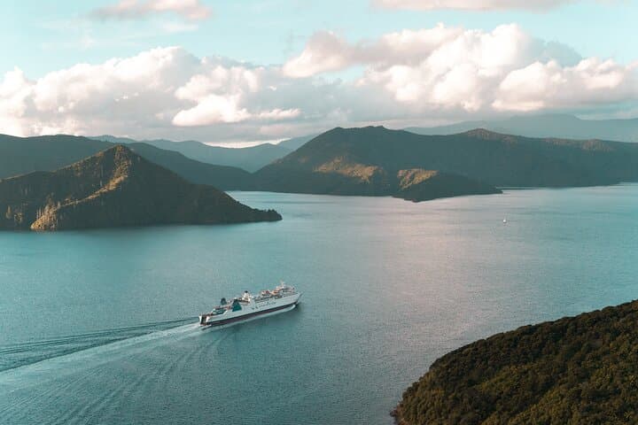 Southern Loop: 7-Day Small-Group South Island Adventure — Abel Tasman, Punakaiki & Kaikoura photo 1