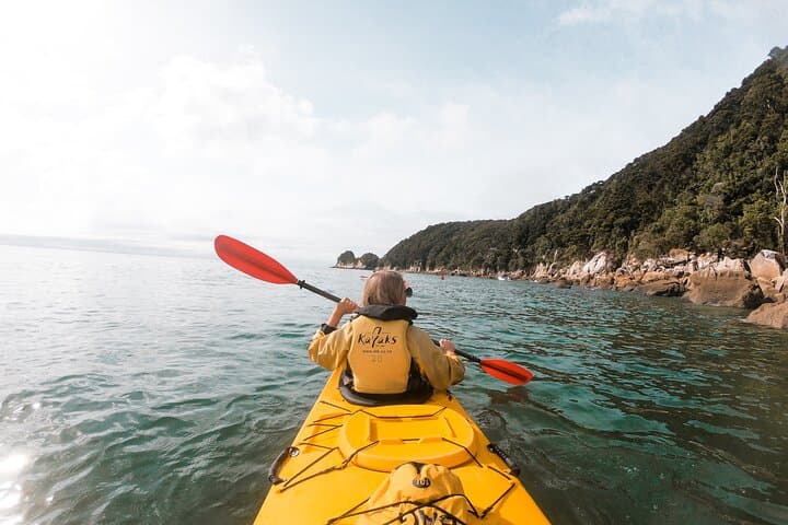 Southern Loop: 7-Day Small-Group South Island Adventure — Abel Tasman, Punakaiki & Kaikoura photo 2