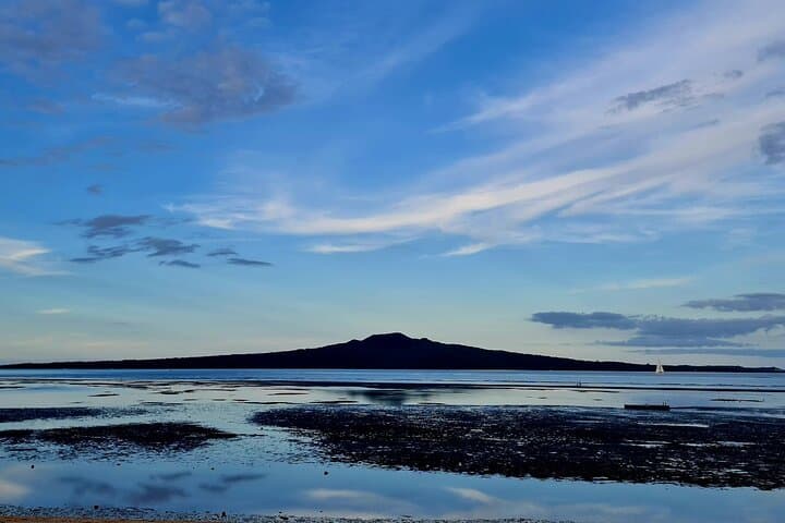 Auckland Half-Day City Tour — Heart of Auckland Scenic Highlights photo 6