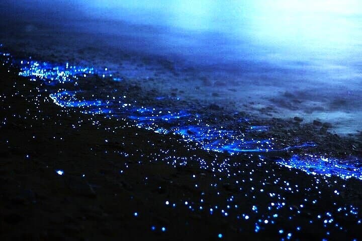 Sunset Hong Island Tour & Bioluminescent Swim from Ao Nang photo 4