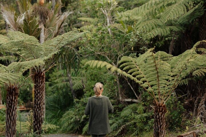 Nourishing Nature: Native Forest Farm Experience Near Auckland