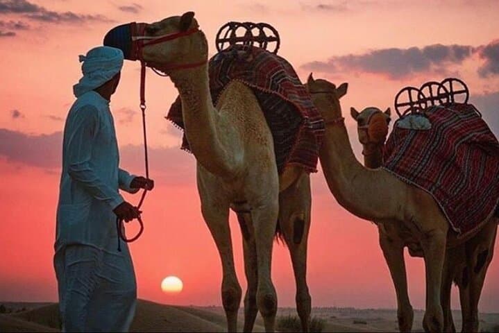 Dubai Evening Desert Safari with Dune Bashing, BBQ & Live Shows photo 5