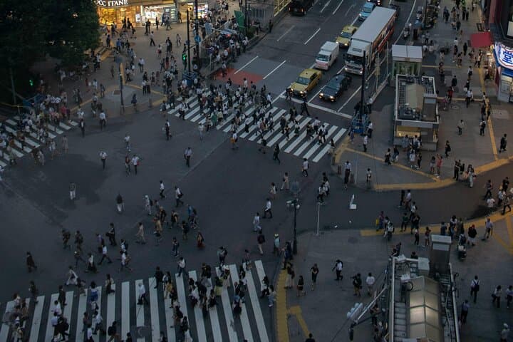 Tokyo Private Day Tour: Meiji Shrine, Harajuku & Shibuya Crossing in One Day photo 6