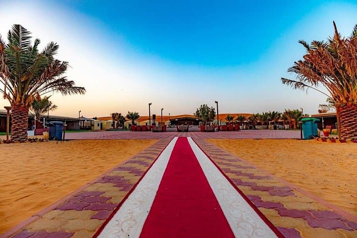 Private Dubai Desert Safari: 4x4 Dune Bashing, Camel Ride & Bedouin Camp Experience photo 3