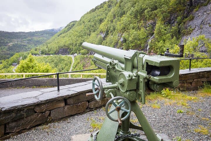 Private Fjords & Waterfalls Day Trip: Hardanger From Bergen