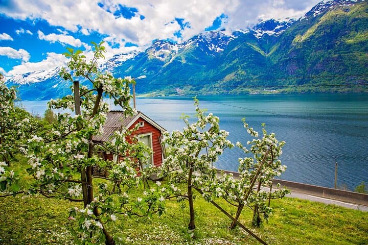 Private Fjords & Waterfalls Day Trip: Hardanger From Bergen photo 5