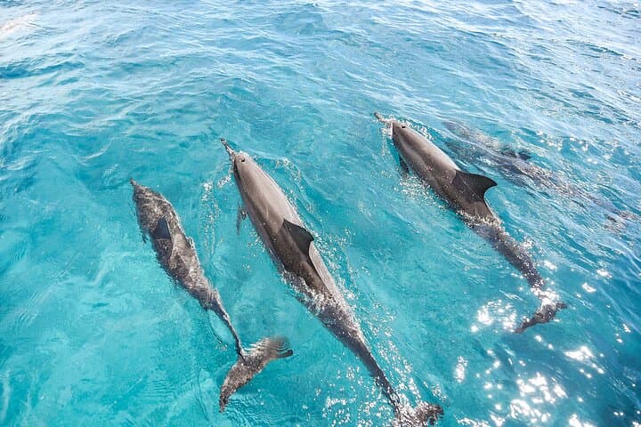 Waikiki Sunset Yacht Cruise with Captain's Tasting — Small-Group Luxury photo 5