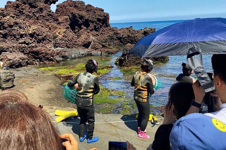 Eastern Jeju Private Tour with Tangerine Picking and Seongsan Sunrise Peak