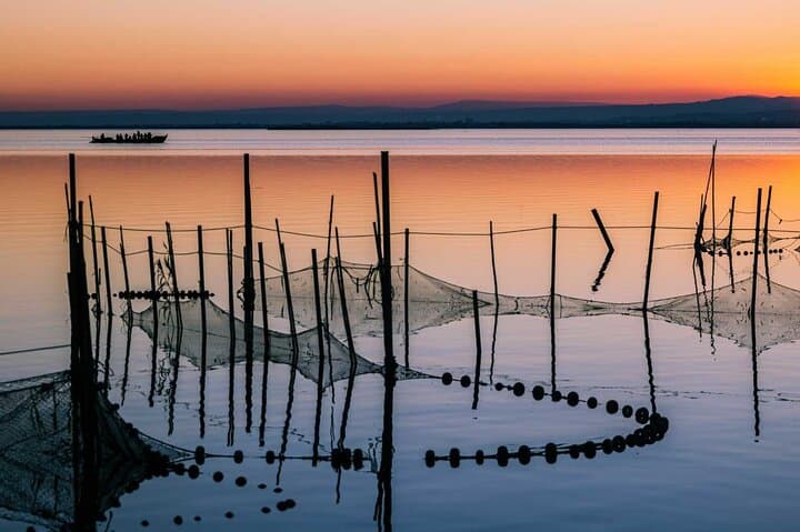 Sunset on the Albufera: Boat Tour & Lagoon Walk from Valencia photo 4